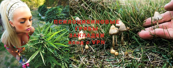 амф Лиски